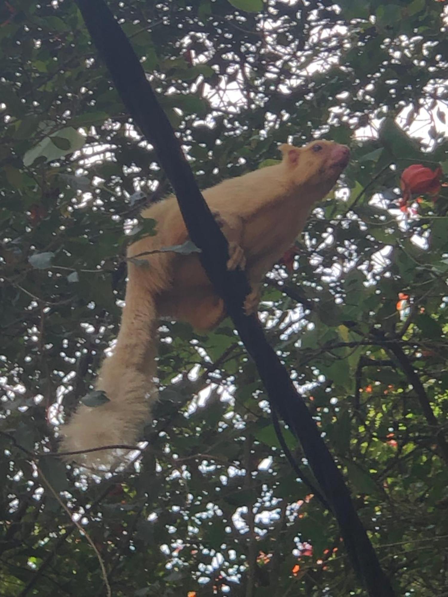 Surrey Bird Sanctuary & Holiday Resort Welimada 외부 사진