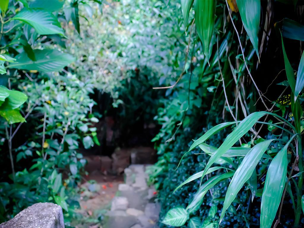 Surrey Bird Sanctuary & Holiday Resort Welimada 외부 사진