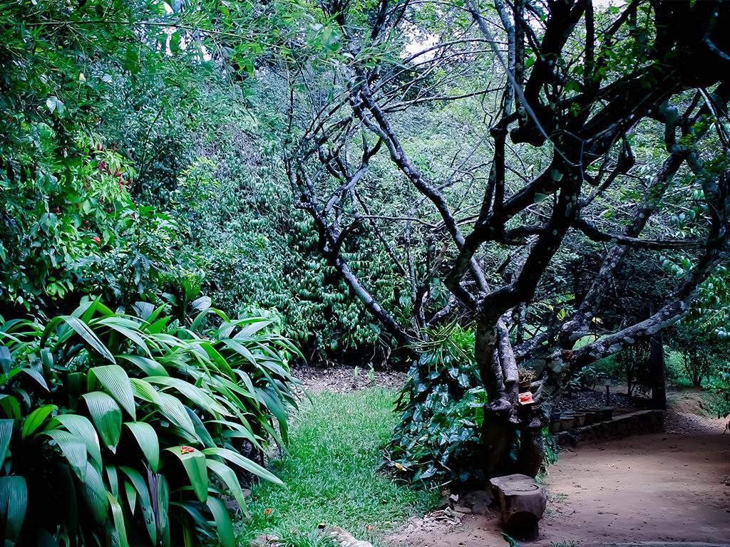 Surrey Bird Sanctuary & Holiday Resort Welimada 외부 사진